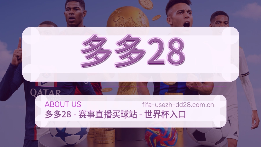 多多28赛事资料服务说明